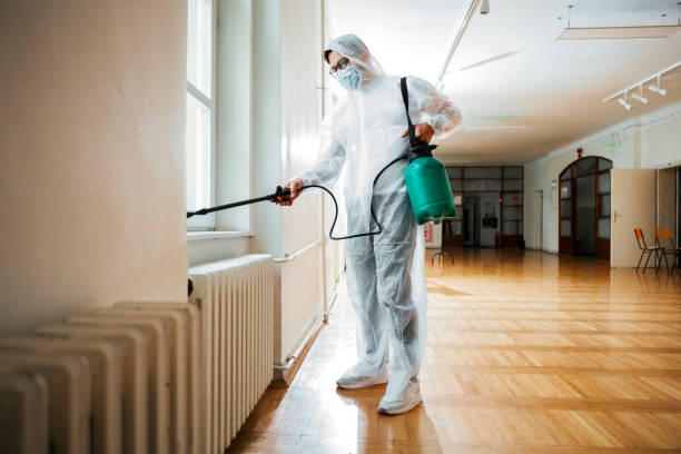 Professional Pest Control in Bay Springs, MS